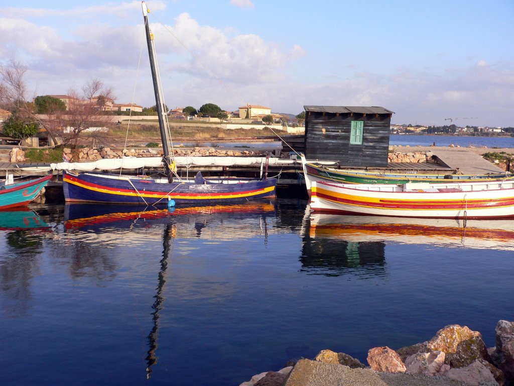 Dans le port de Bouzigues by Palestre