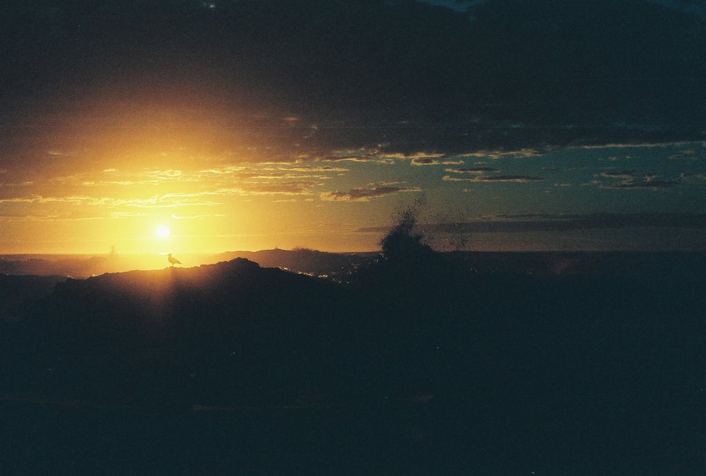 Fort Bragg, CA by Hank Hansen