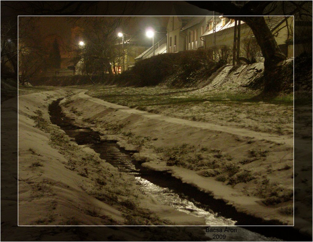 Bükkös patak - watercourse by bacsaáron