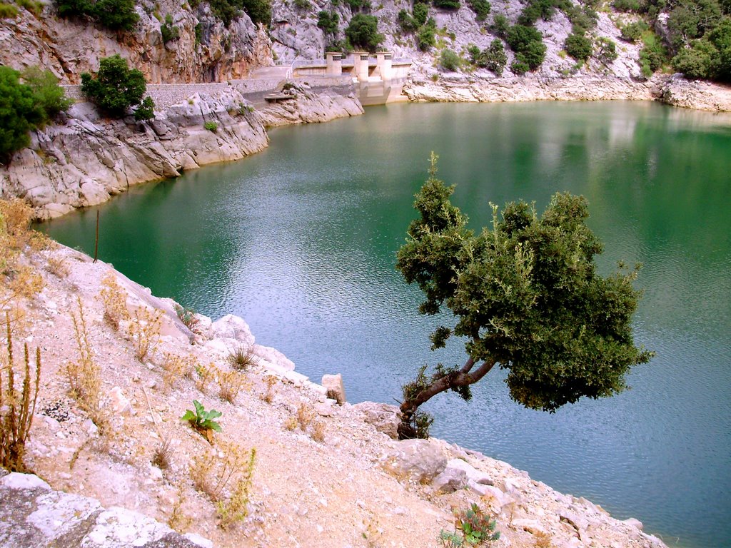 Dam Lake in Escorca by Valeri Lazarov