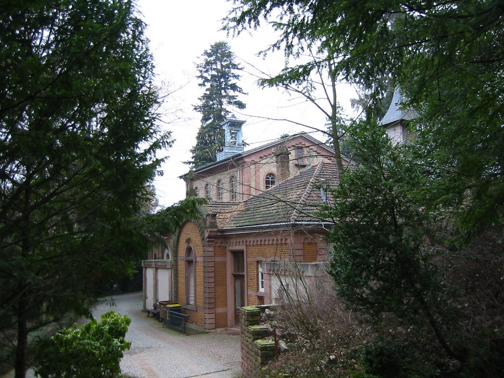 Heidelberg, Bergfriedhof by Katrin M.