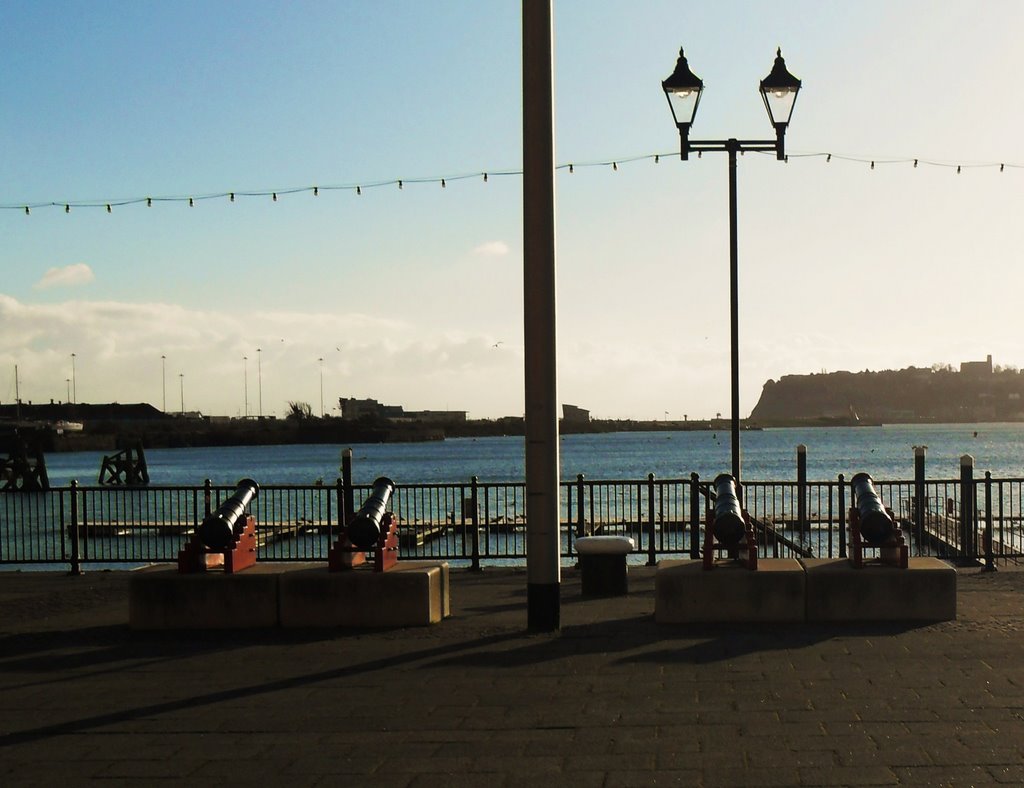 Cardiff Bay Canons by farmbrough