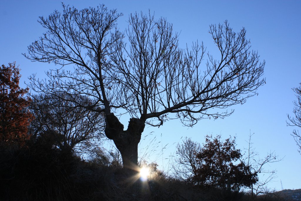 Raio De Sol (Celavente,Ourense) by laura&paula