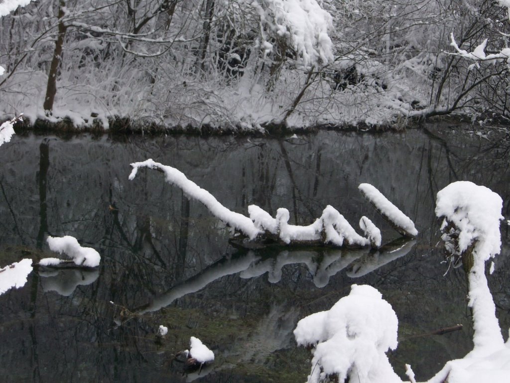 Feltre.anzù.il drago!! by Egidio Moretton