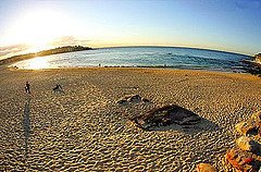 Bondi Beach by jordirochblom