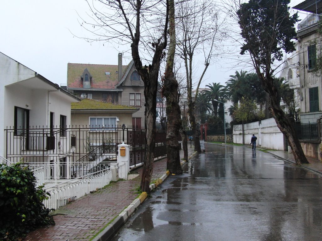 Büyükada merkez ve çevresi görüntüler. by Ilhan Parçalı