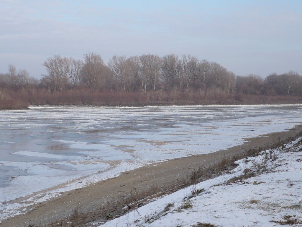 Frozen beach by csongrádi01