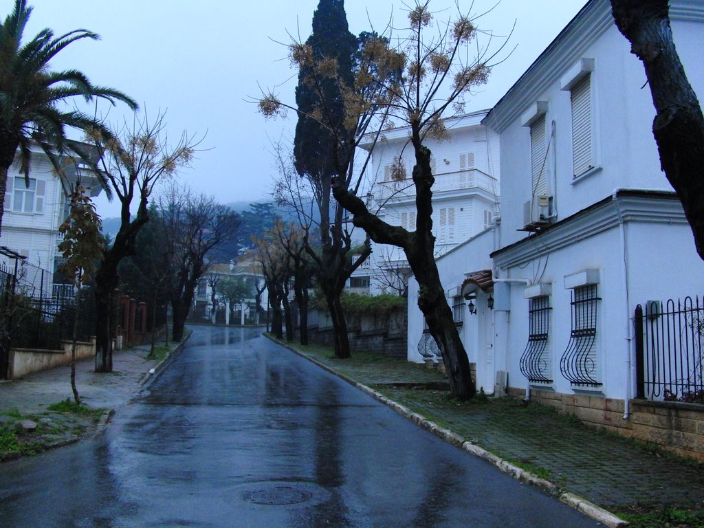 Büyükada merkez ve çevresi görüntüler. by Ilhan Parçalı