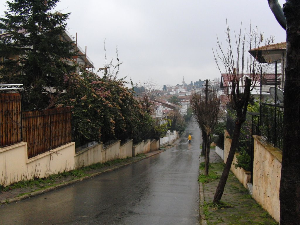 Büyükada merkez ve çevresi görüntüler. by ilhan parcali