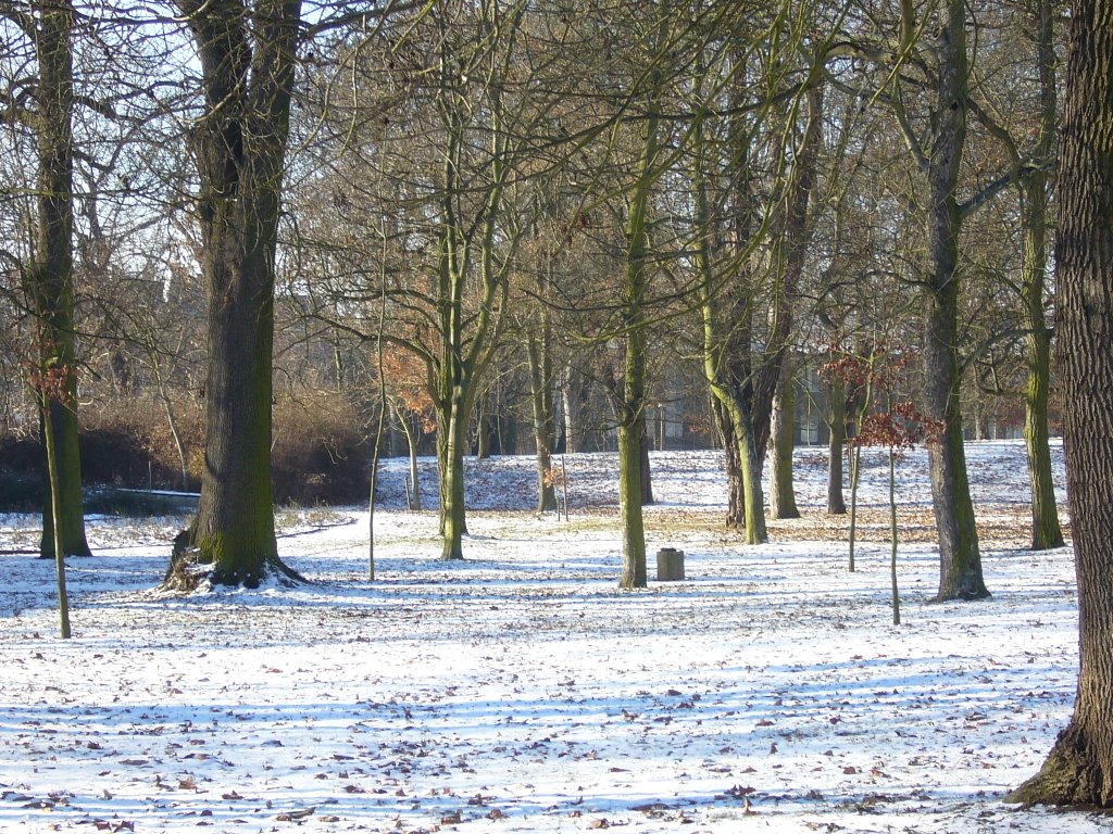 Stadtpark aus dem 18 Jah. ( 1901 als Friedhof aufgegeben) by r.m.sgh