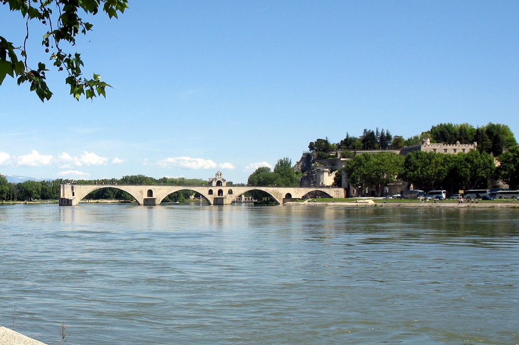 Avignon, France by stassaert