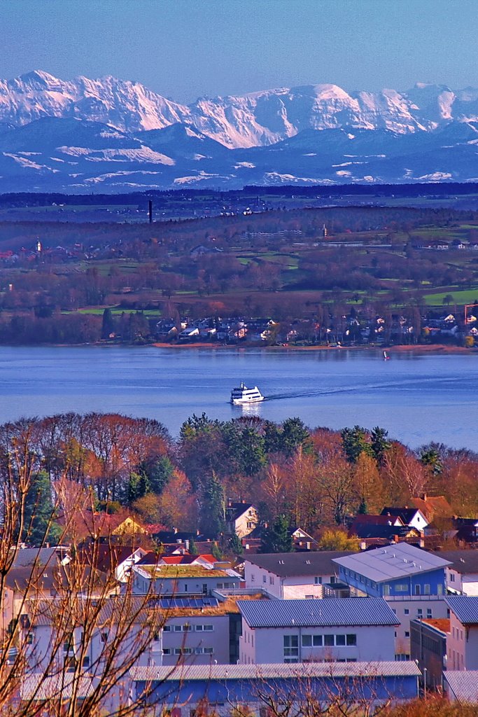 Blick auf den Bodensee und die Alpen by Strucki