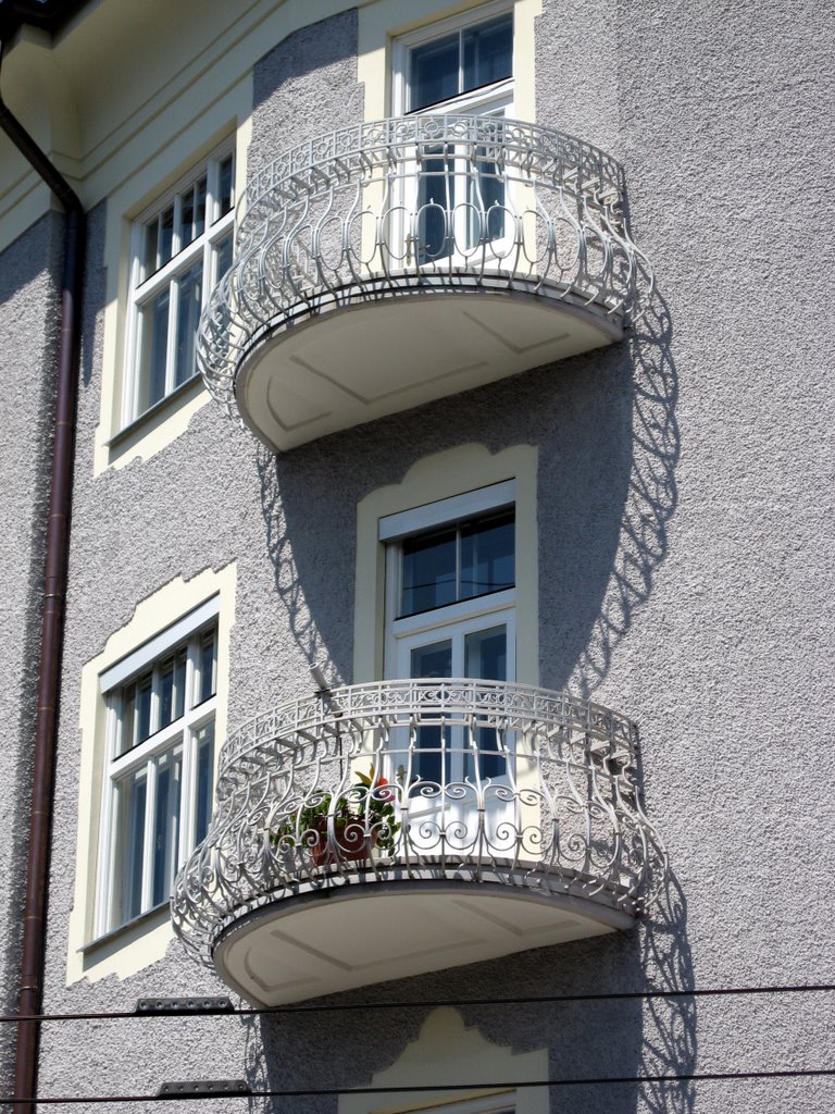 White window(Salzburg) by Novi