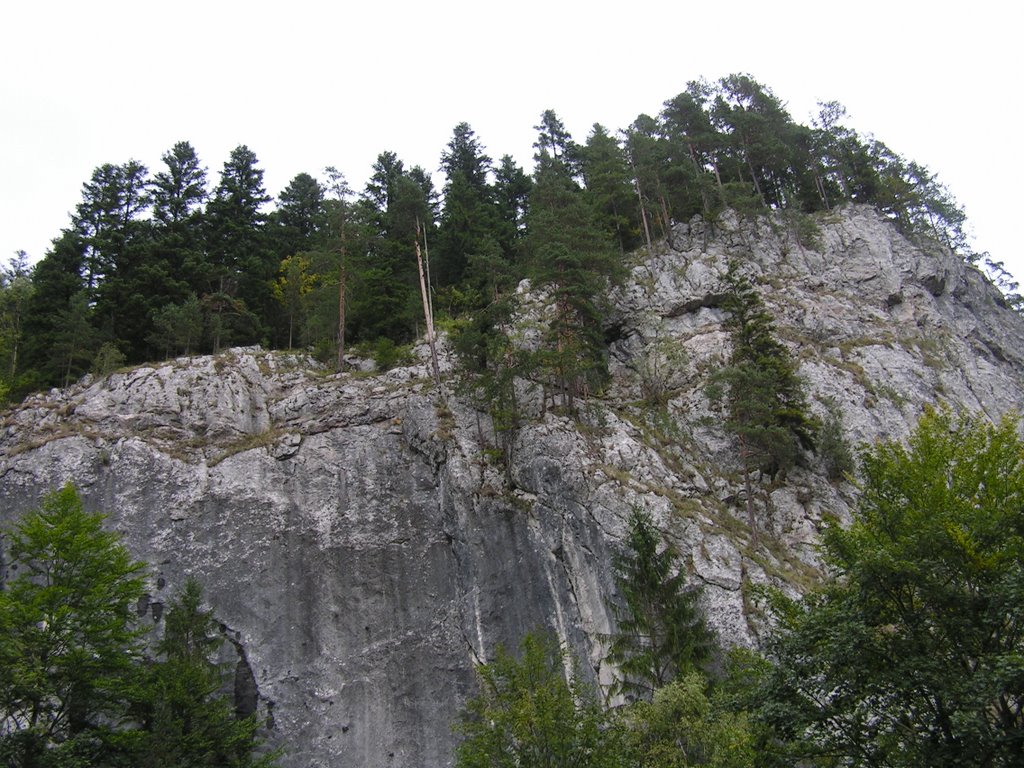 Békás-szoros Bicaz-pass by norbertklúcsik