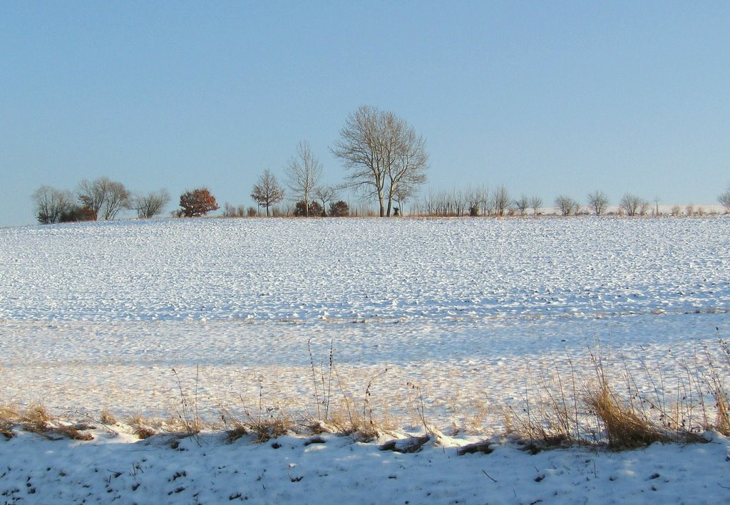 Winterlandschaft bei Tsst.-Seitzenhahn by ©frie_d@