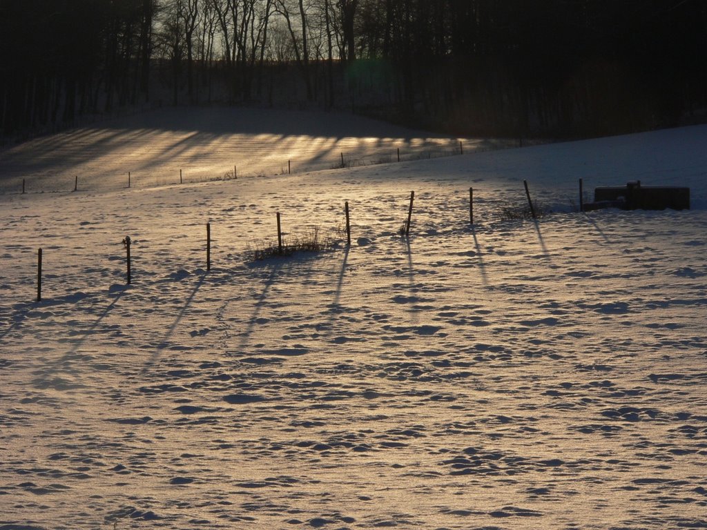 HEERLEN sneeuw-weiden tegen de zon in gezien by walterskrutser