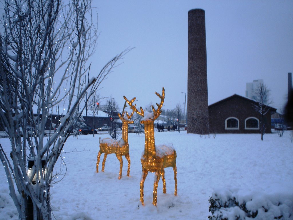 Deer in Winter-Eskişehir by ridvan tuncel