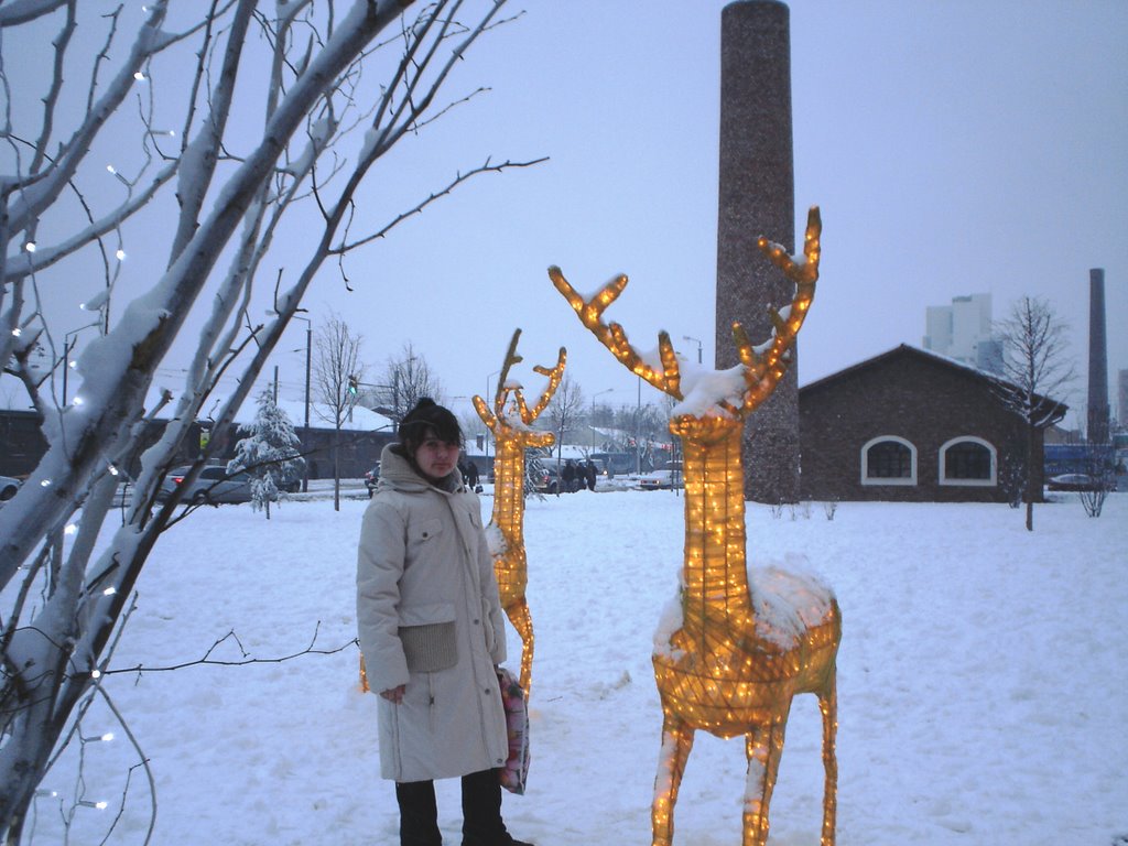 Deer in Winter-Eskişehir by ridvan tuncel