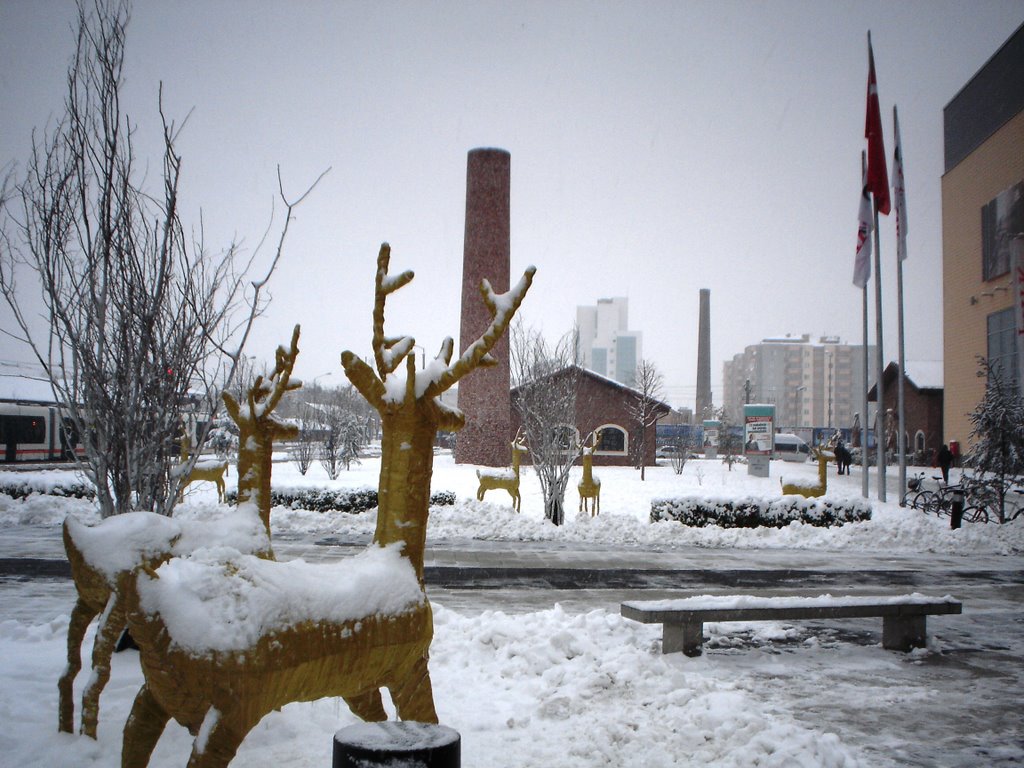 Deer in Front of Espark AVM-Eskişehir by ridvan tuncel