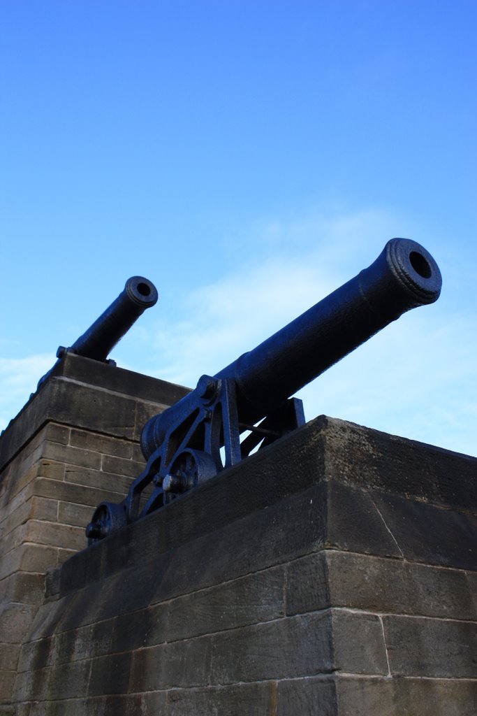 Guns from Collingwoods Ship "The Sovereign" by Albert Griffiths