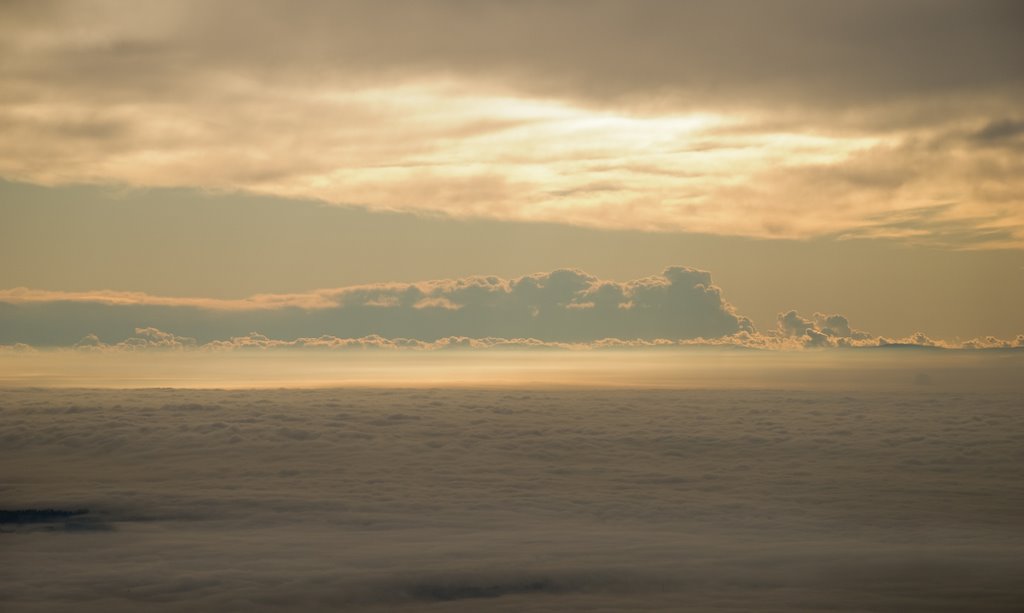 Nebbia in Val Padana by Vittorio Zanoni