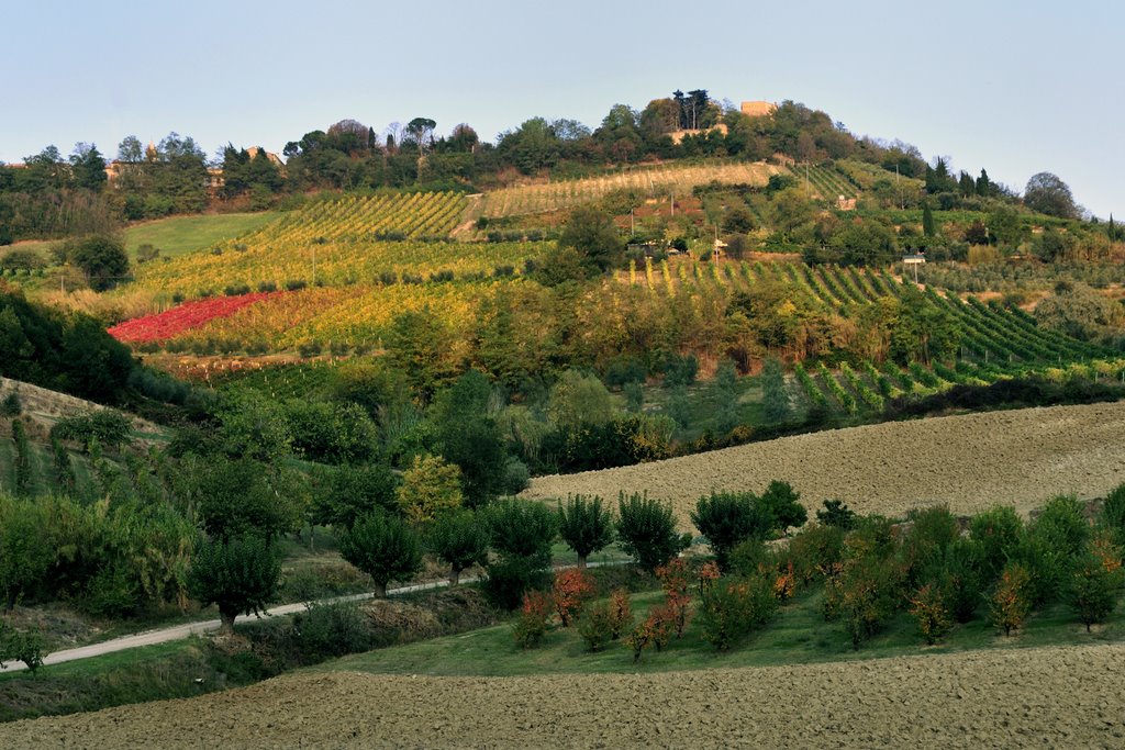 Bertinoro da Fratta Terme by maxir48