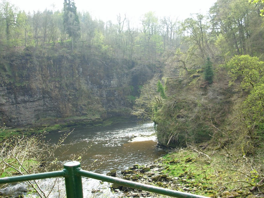 South Lanarkshire, UK by Pablo Gómez Jiménez