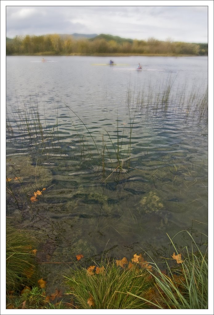 Banyoles by Miquel Bohigas Costa…