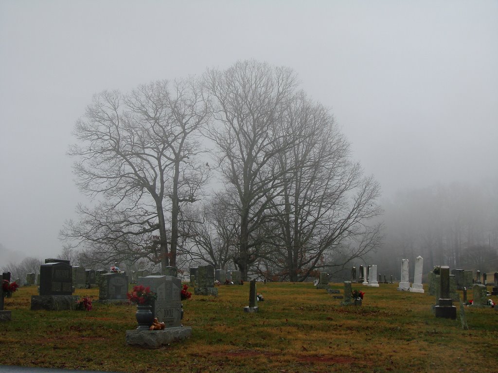 Trees in the fog at South Macon Baptist Church Cemetery by Jean Gregory Evans