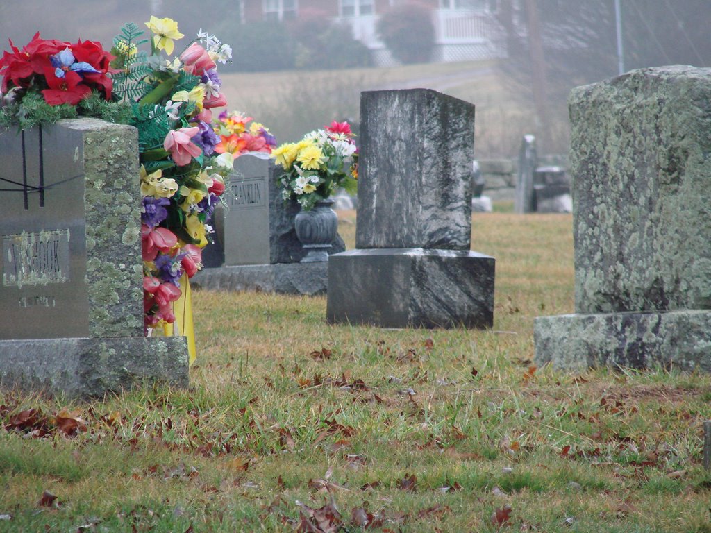 South Macon Baptist Church Cemetery flowers by Jean Gregory Evans