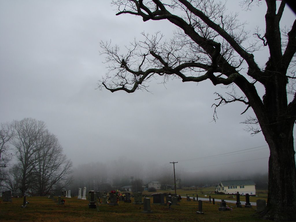 Rainy foggy morning of January 6 at South Macon Baptist Church Cemetery by Jean Gregory Evans