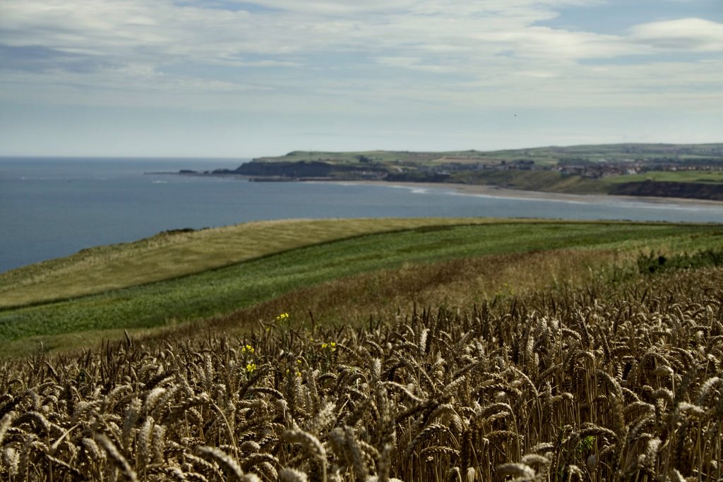 Cornfield over looking Whitby by Darryl Villaret