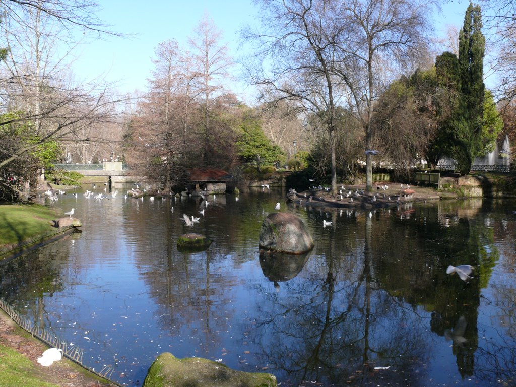 Estanque del parque de Castrelos, Vigo. by martinmg - 2