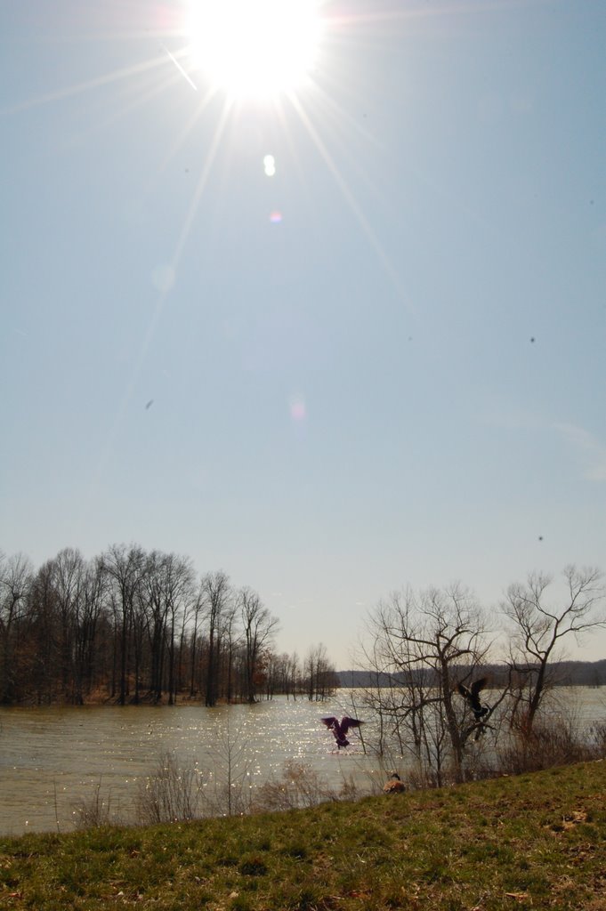 Early Spring Lake Monroe by annemkay