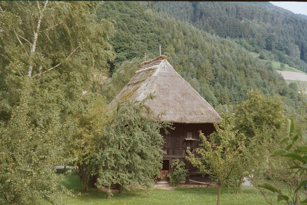 Leibgedinghaus from 1652 at the Black Forest open air farm house museum in Gutach by SammySambo76