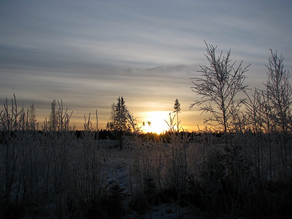 Pomarkku - Katajamäki by Terppa