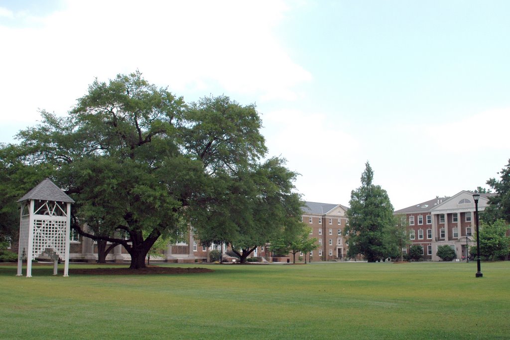 Bell Tower Lawn by jjollycoker