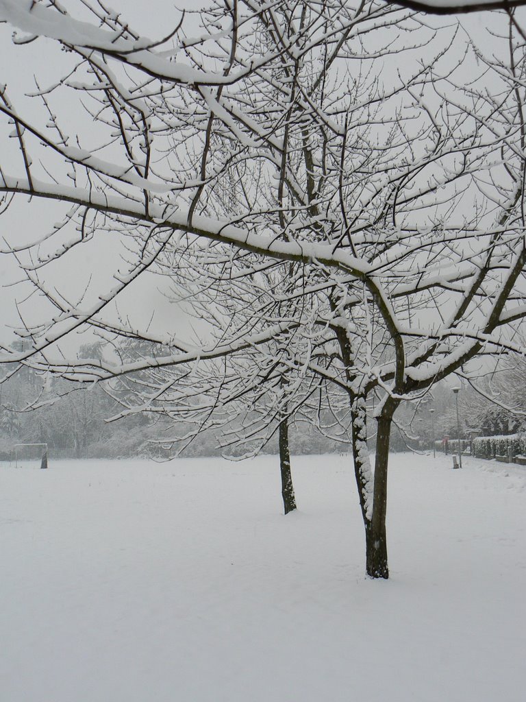 Nevicata del 7 gennaio - Parco by Lorenza Ravanetti