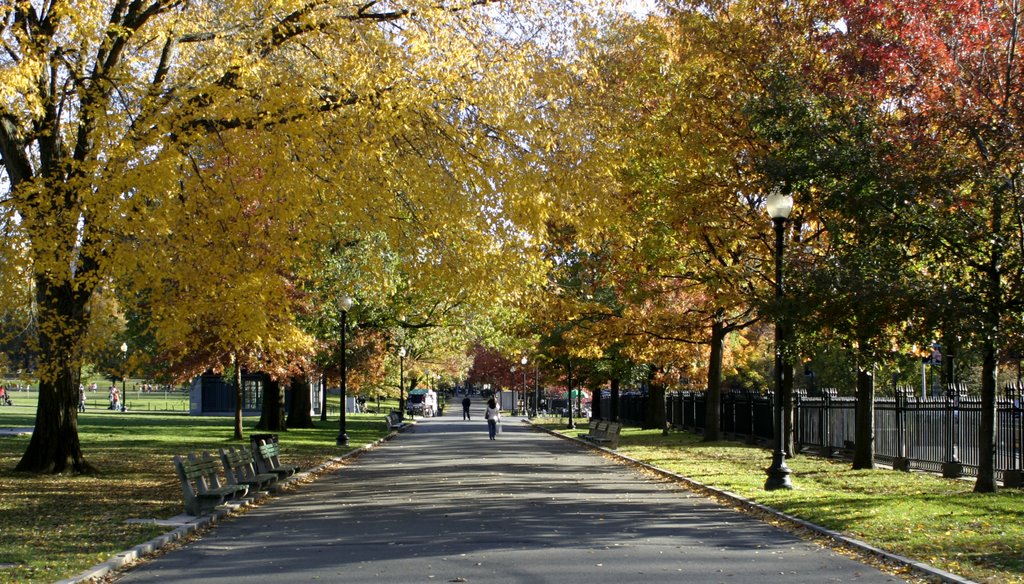 Boston, MA, USA by Jeremy Rouse