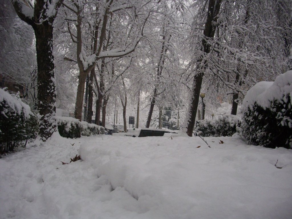 Città Studi, Milano, Italy by valcal