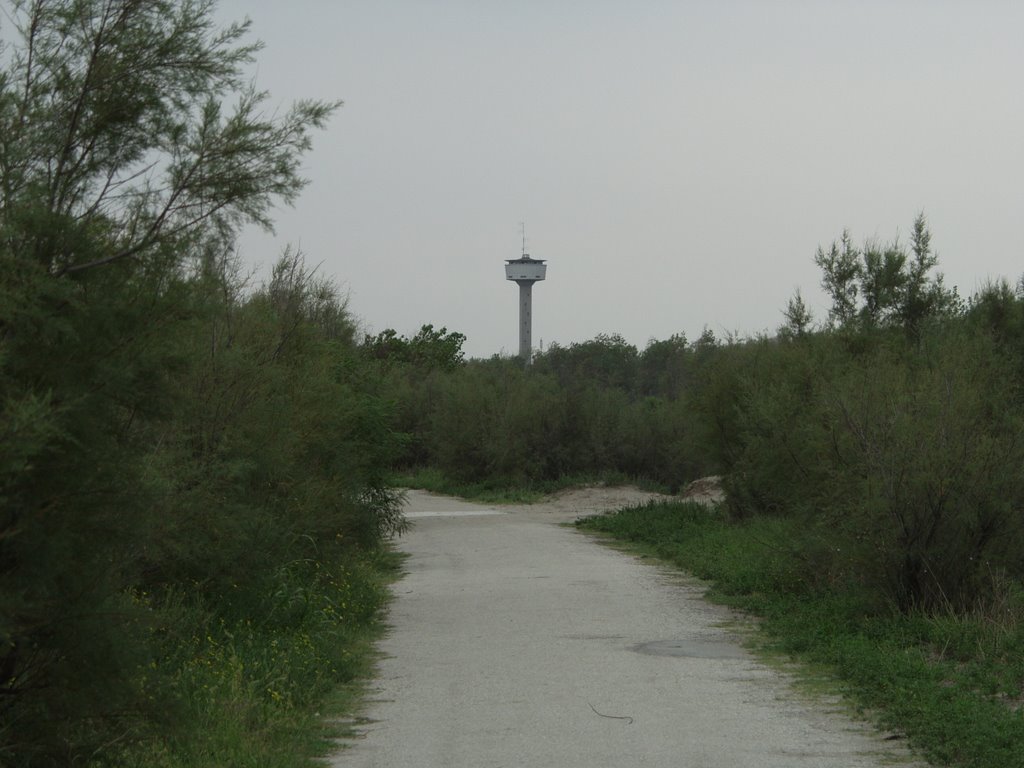 Blick zum Wasserturm by Wolfgang Markl