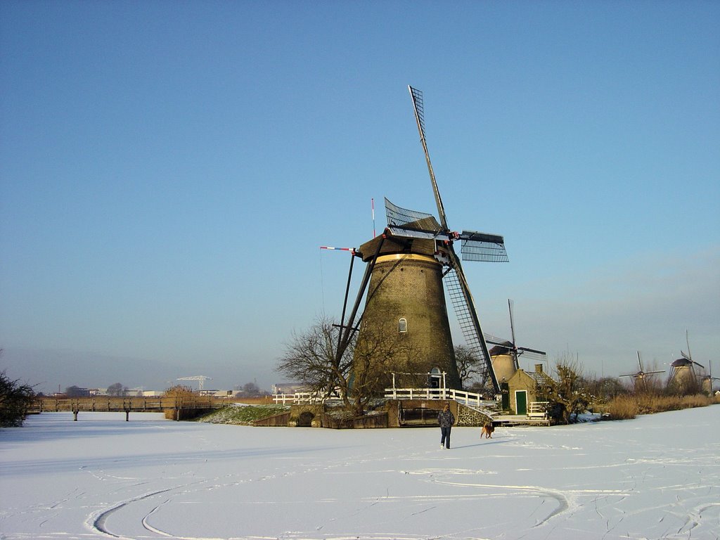 Kinderdijk winterlandscape 2009 by piet nipius