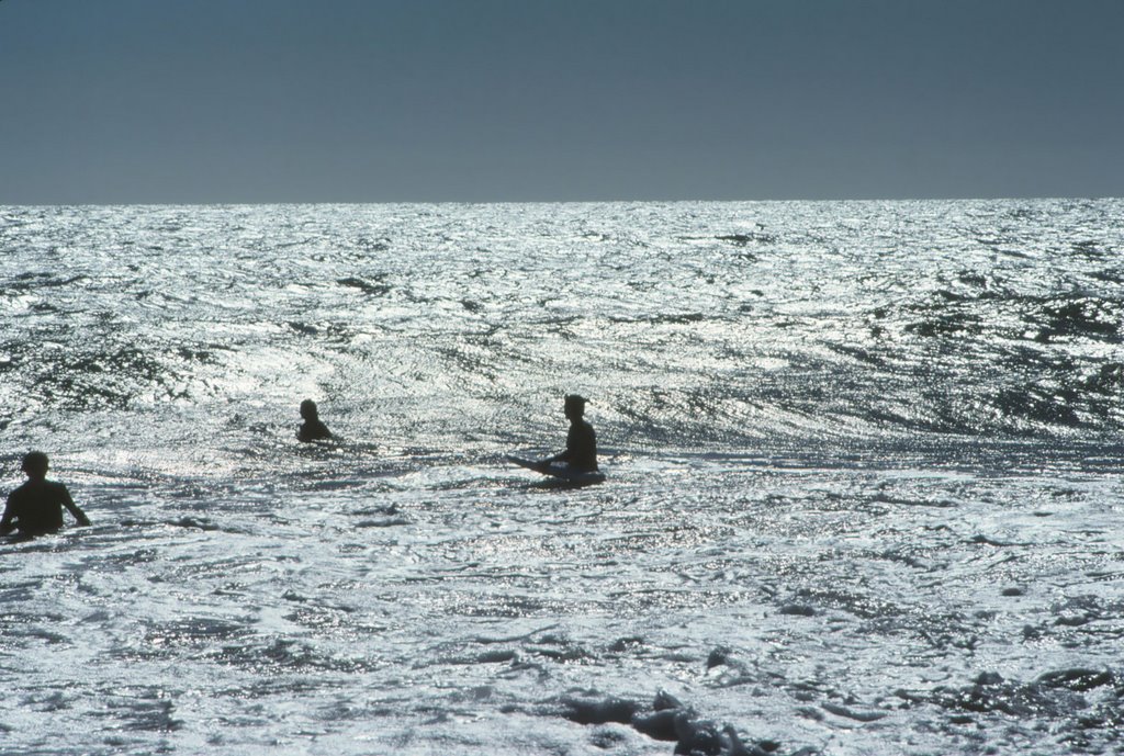 Silver Surfers by Westernfocus