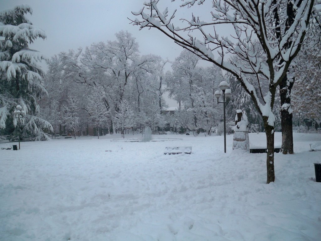 Giardini di Piazza Roma by Mauro Giust