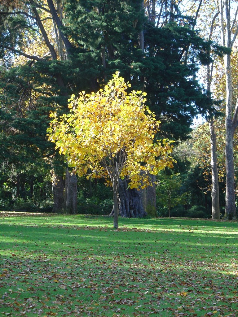 Treasury Gardens by tim.watts.au