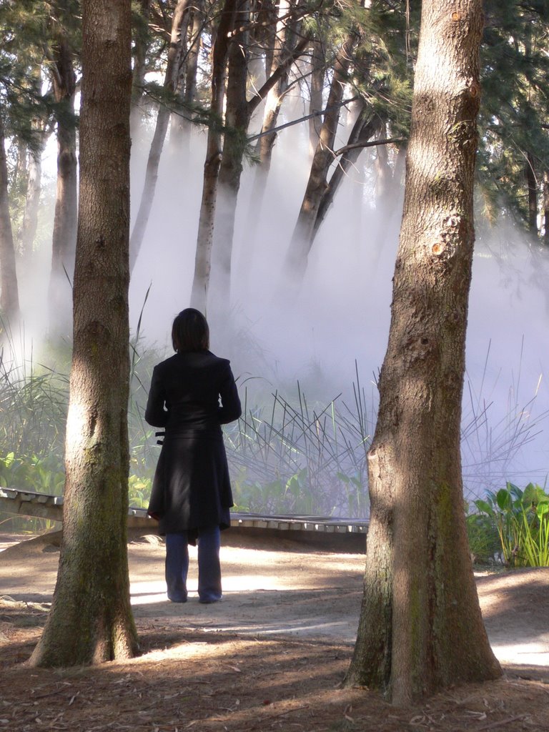 Outside Installation - National Gallery of Australia by tim.watts.au