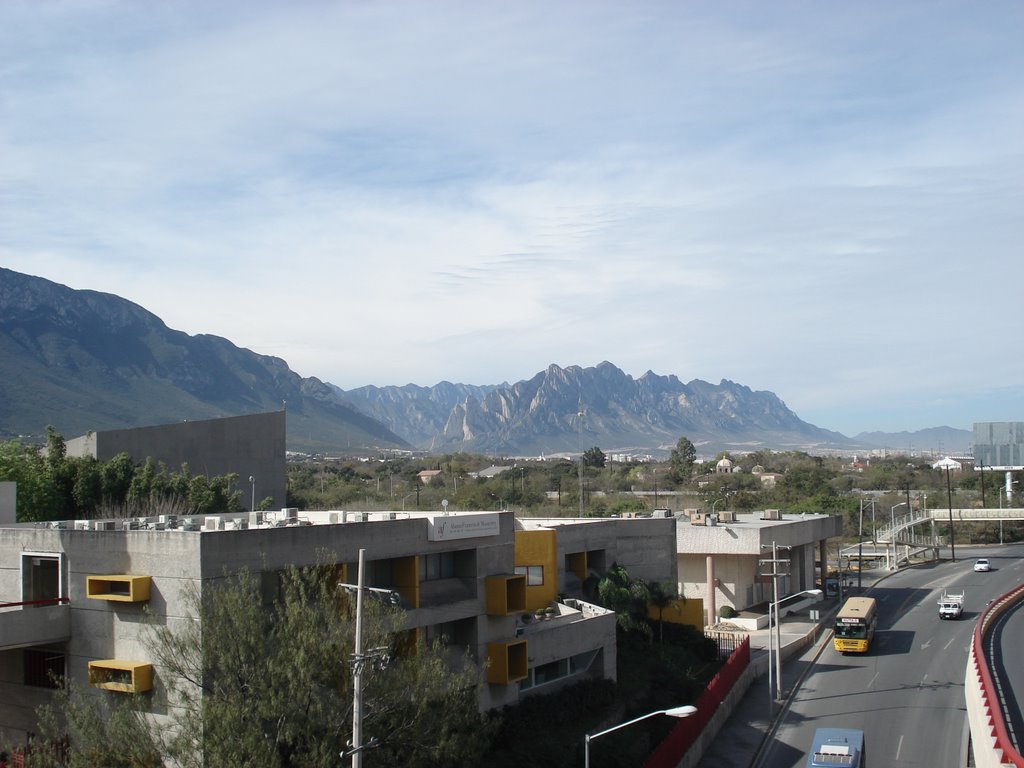 La huasteca desde el puente atirantado by Tlatoani1982