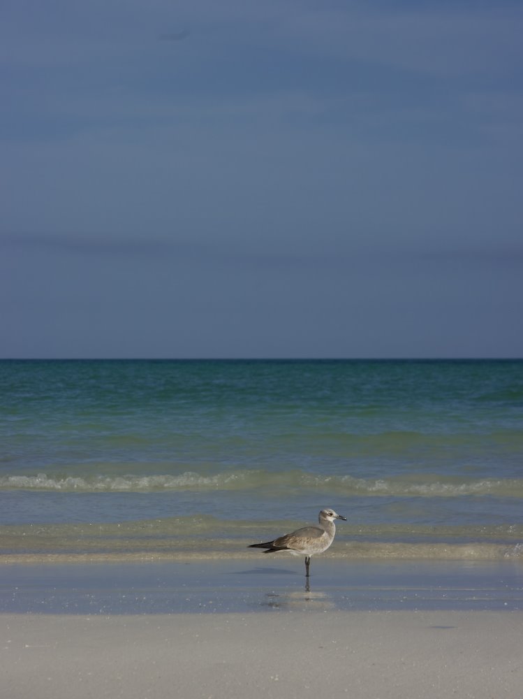 Holbox by Irak Perez.