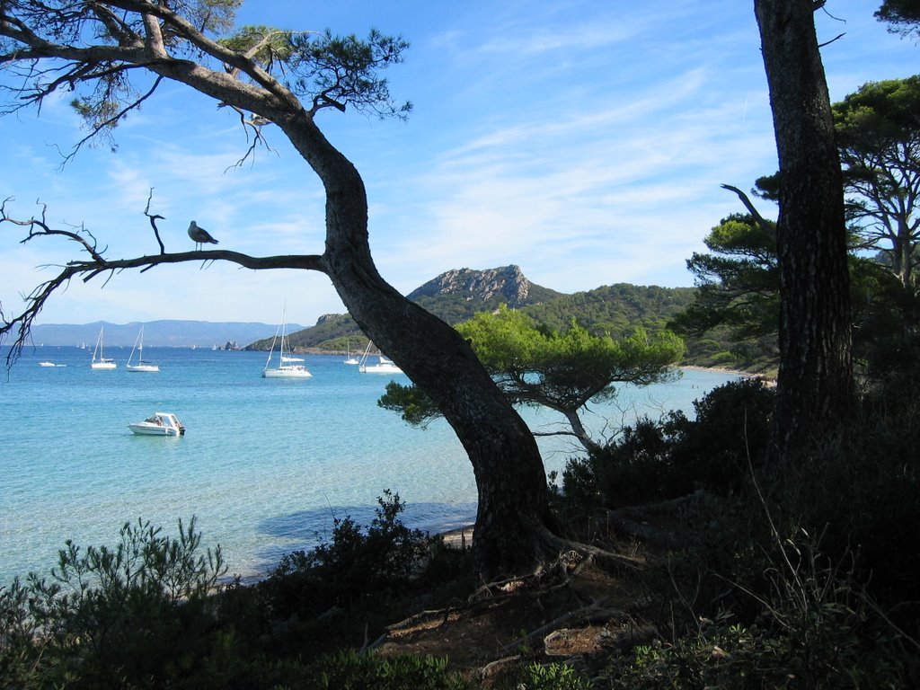 Plage Notre dame by lanthelme