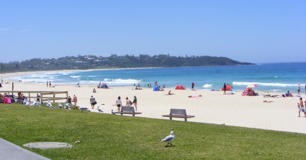 Mollymook Beach Looking North by Alan Farlow